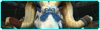 Beasts of Northrend Beasts of Northrend